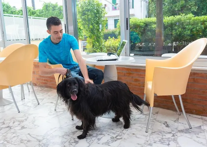 Amarina Марина-ди-Пьетрасанта